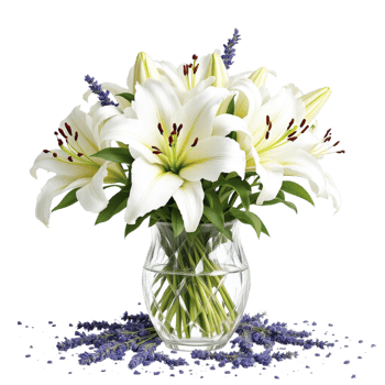 White lilies in a glass vase with lavender png