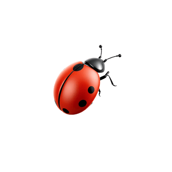 Close-up of a red ladybug with black spots isolated on a transparent background png