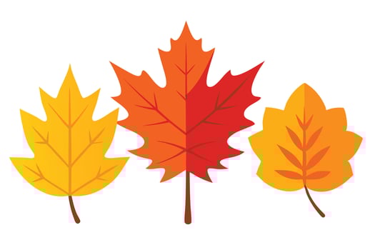 Three Colorful Autumn Leaves Graphic, Simple Flat Design on Transparent Background vector