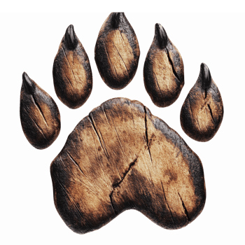 Realistic Wooden Bear Paw Print Illustration with Detailed Texture and Depth for Nature Themes png