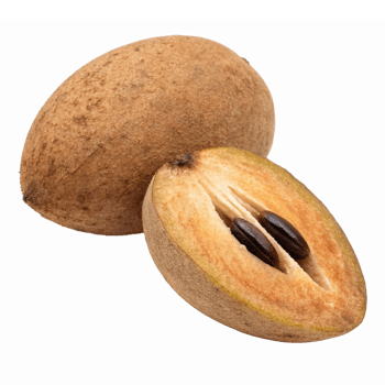 Fresh Sapodilla Fruit Halved with Brown Skin and Sweet Yellow Flesh on Transparent Background png