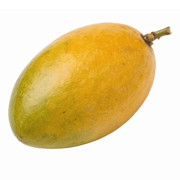 Fresh Tropical Mango Fruit Isolated on Transparent Background Perfect for Culinary Designs png
