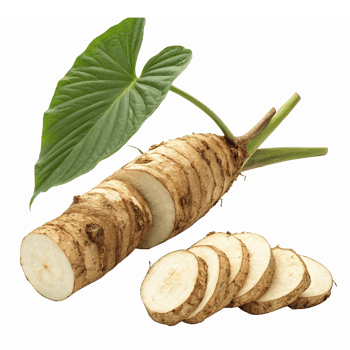 Fresh Wasabi Root with Green Leaves and Sliced Pieces for Cooking and Culinary Use png