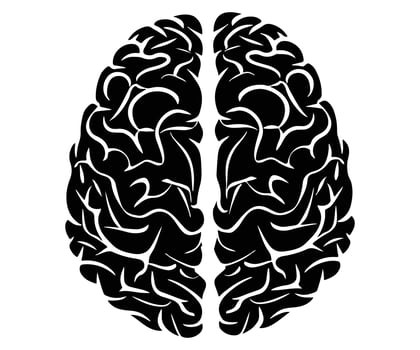 Human Brain Comparison Illustration Detailed vs Simplified Designs clipart vector