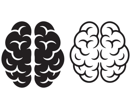 Human Brain Clipart Mind and Intelligence Illustration vector