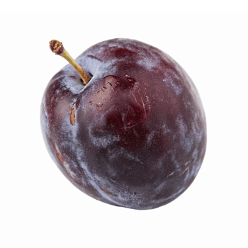 Fresh Ripe Purple Plum on Transparent Background for Culinary and Nutritional Uses png