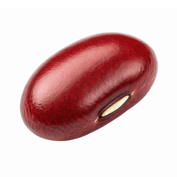 Realistic Red Kidney Bean Isolated on Transparent Background for Culinary and Nutritional Use png