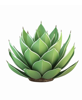 Realistic Green Agave Plant Illustration with Lush Leaves Ideal for Nature Themes png