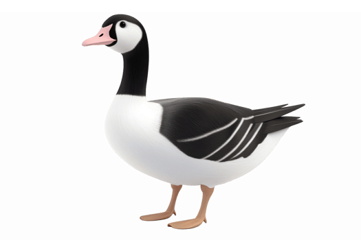 Realistic Illustration of a Tasmanian Duck with a Whimsical Design for Kids Projects png