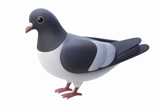 Cute 3D Cartoon Pigeon Character with Black and White Feather Details Perfect for Creative Projects png