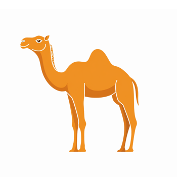 Stylized Cartoon Camel Illustration with Transparent Background for Travel and Desert Themes png