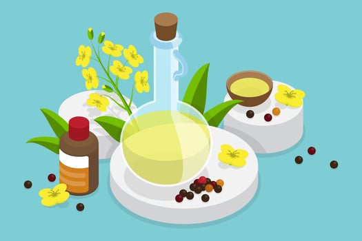 3D Isometric Flat Conceptual Illustration of Canola Oil, Natural and Healthy Nutrition vector