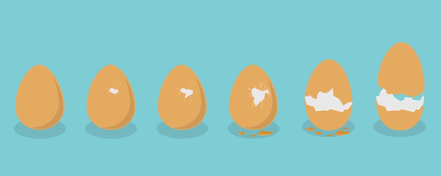 3D Isometric Flat Set of Broken Chicken Eggs, Cracked Eggshell vector