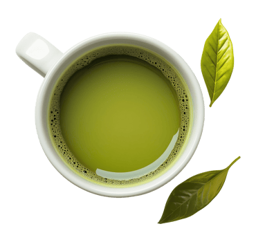 Top view of white cup with matcha tea isolated on transparent background png