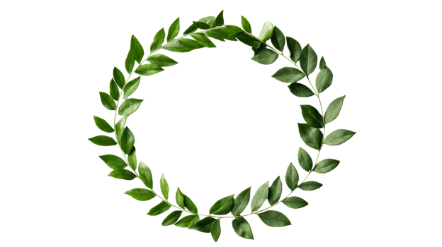 Frame made of leaves of bush with green color, cut out transparent png