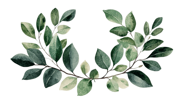 Watercolor leaves frame branches plant background , cut out transparent png
