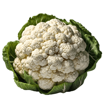 Cauliflower on a transparent background png