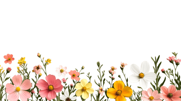 Variety of Flowers Bordering Black Background, cut out transparent png