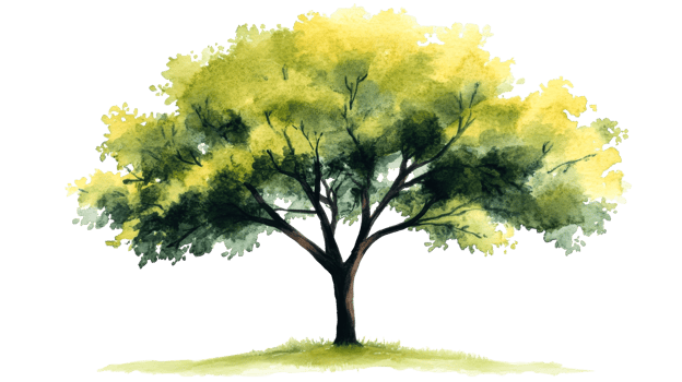 Watercolor tree with vibrant green leaves, cut out transparent png