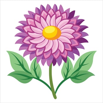 Elegant Aster Flower Illustration Design vector