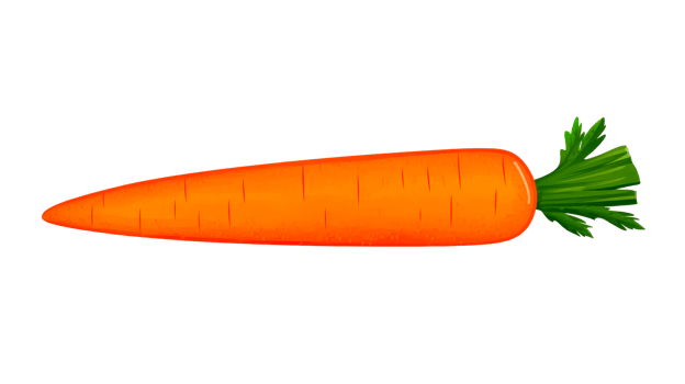 Isolated carrot with green leaves on black background, cut out transparent png