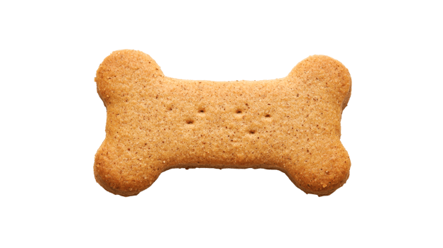 Brown Bone-shaped Dog Treat, isolated on black, cut out transparent png