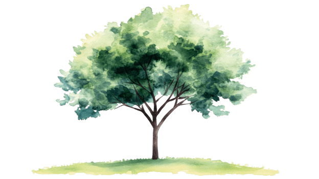 Watercolor Tree with Grass, Garden Artwork, Isolated Illustration, cut out transparent png