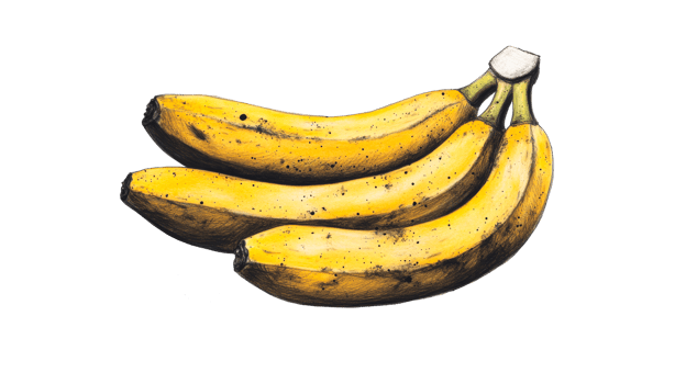 Ripened Bananas Artistically Rendered, Cut Out Transparent png