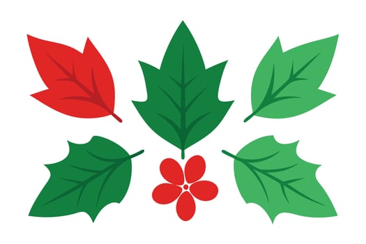 Christmas Holly Leaves with Flower, Decorative Floral Elements, Flat Design, White Background vector