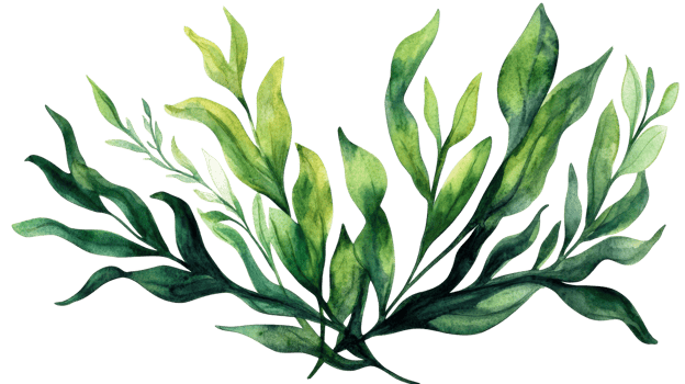 Watercolor greenery composition with leaves, plant ,cut out transparent png