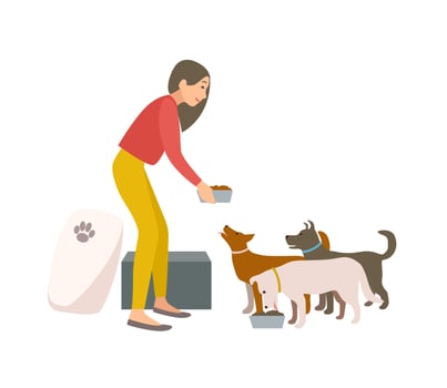 Friendly female volunteer feeding dogs in animal shelter or pound. Young woman giving food to homeless puppies isolated on white background. Colorful illustration in flat cartoon style vector