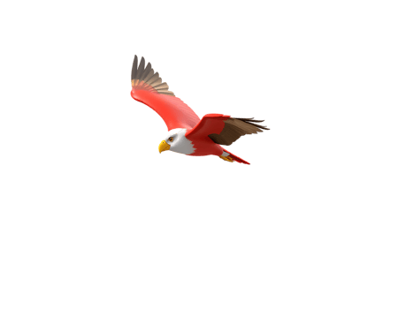 Red and White Eagle in Flight png