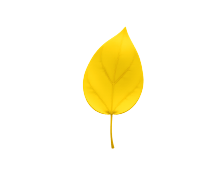 Yellow Autumn Leaf on Transparent Background png