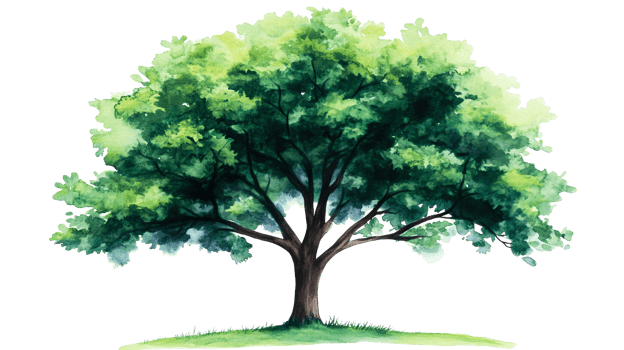 Watercolor tree with vibrant green leaves, detailed, cut out transparent png