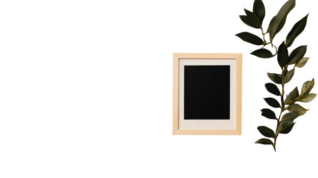 Wooden photo frame and green branch on black, cut out transparent png