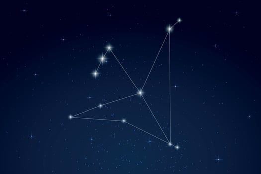Aquila Constellation with Star Names in Night Sky vector