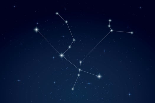 Andromeda Constellation with Star Names in Night Sky vector