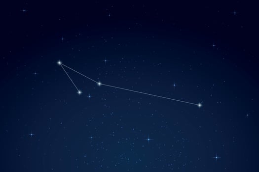Apus Constellation with Star Names in Night Sky vector