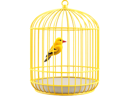 Yellow Bird in a Golden Cage png