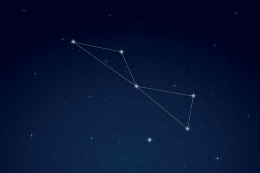 Volans Constellation with Star Names in Night Sky vector