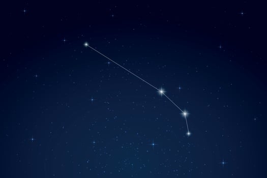 Aries Constellation with Star Names in Night Sky vector
