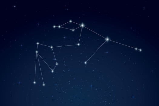 Aquarius Constellation with Star Names in Night Sky vector