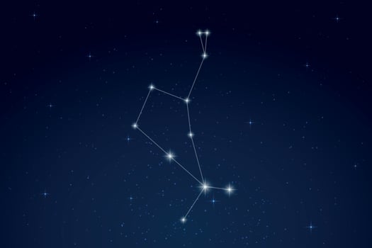 Bootes Constellation with Star Names in Night Sky vector
