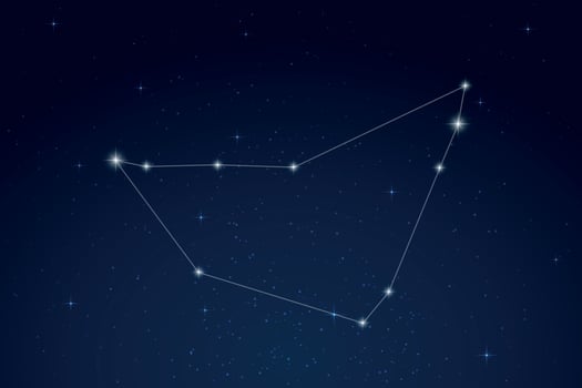 Capricornus Constellation with Star Names in Night Sky vector