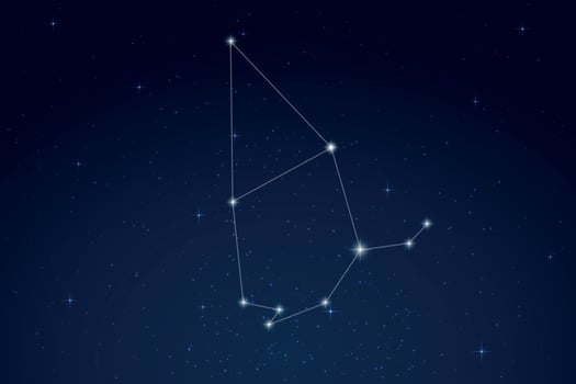 Cepheus Constellation with Star Names in Night Sky vector