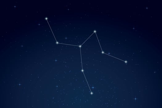 Camelopardalis Constellation with Star Names in Night Sky vector