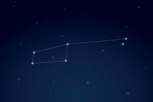Chamaeleon Constellation with Star Names in Night Sky vector