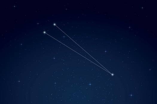 Circinus Constellation with Star Names in Night Sky vector
