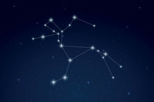 Centaurus Constellation with Star Names in Night Sky vector