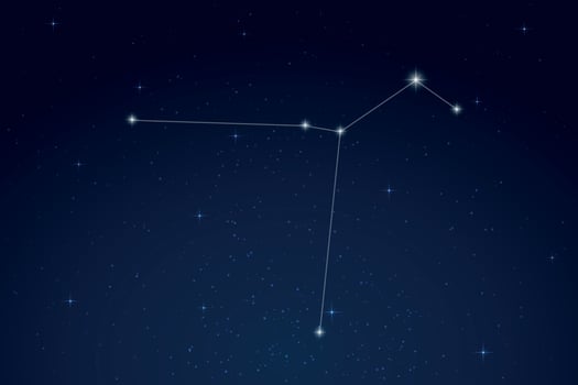 Columba Constellation with Star Names in Night Sky vector